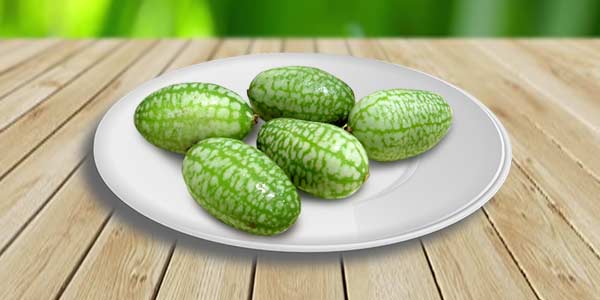 Кращі сорти Дині   опис, фото, характеристика