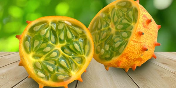 Кращі сорти Дині   опис, фото, характеристика