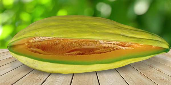 Кращі сорти Дині   опис, фото, характеристика