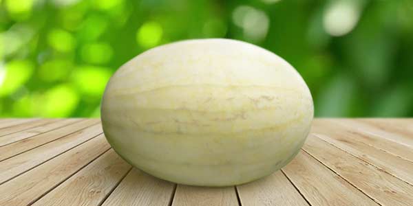 Кращі сорти Дині   опис, фото, характеристика