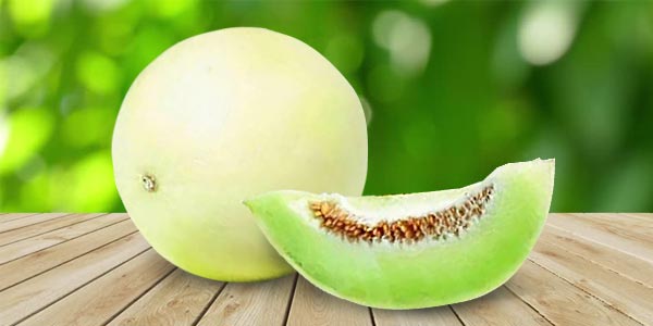 Кращі сорти Дині   опис, фото, характеристика