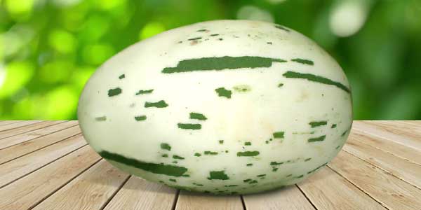 Кращі сорти Дині   опис, фото, характеристика