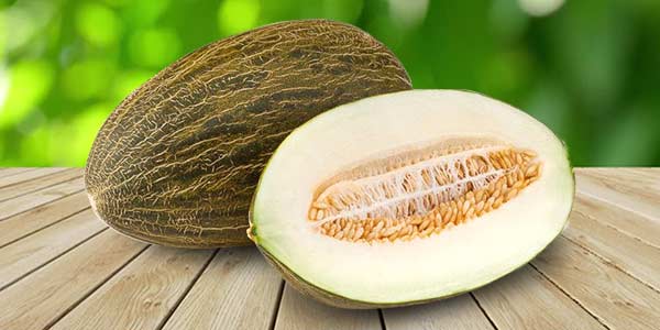 Кращі сорти Дині   опис, фото, характеристика