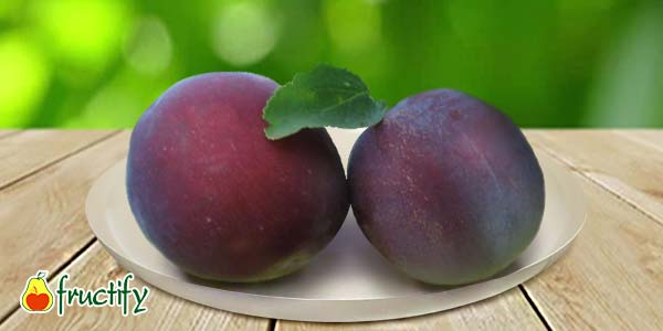 Кращі сорти сливи   опис, фото, характеристика