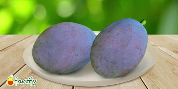 Кращі сорти сливи   опис, фото, характеристика