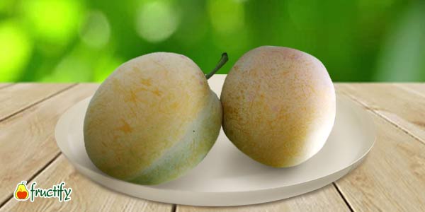 Кращі сорти сливи   опис, фото, характеристика