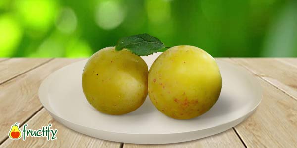 Кращі сорти сливи   опис, фото, характеристика