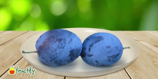 Кращі сорти сливи   опис, фото, характеристика