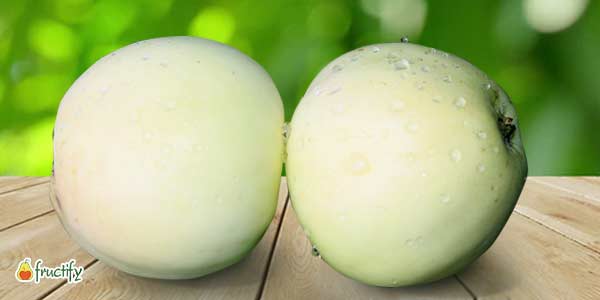 Кращі сорти яблунь: опис та фото літніх, осінніх, зимових сортів яблук