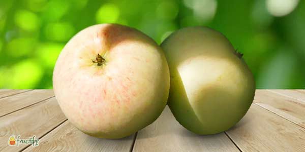 Кращі сорти яблунь: опис та фото літніх, осінніх, зимових сортів яблук