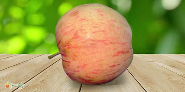 Кращі сорти яблунь: опис та фото літніх, осінніх, зимових сортів яблук