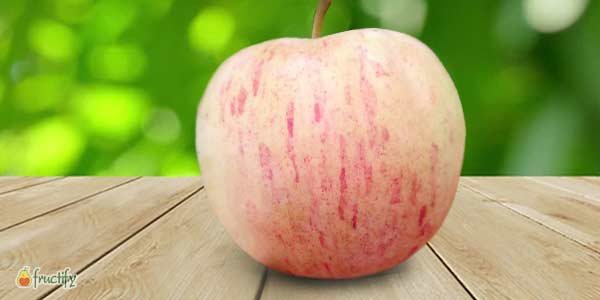 Кращі сорти яблунь: опис та фото літніх, осінніх, зимових сортів яблук