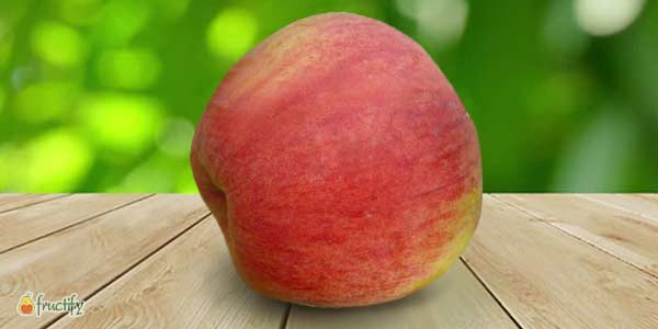 Кращі сорти яблунь: опис та фото літніх, осінніх, зимових сортів яблук