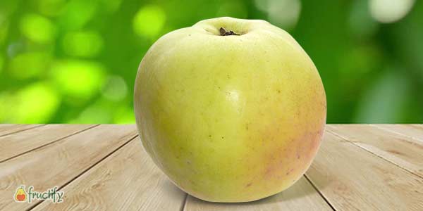 Кращі сорти яблунь: опис та фото літніх, осінніх, зимових сортів яблук