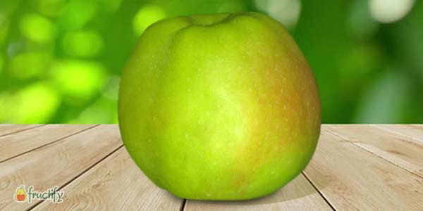 Кращі сорти яблунь: опис та фото літніх, осінніх, зимових сортів яблук