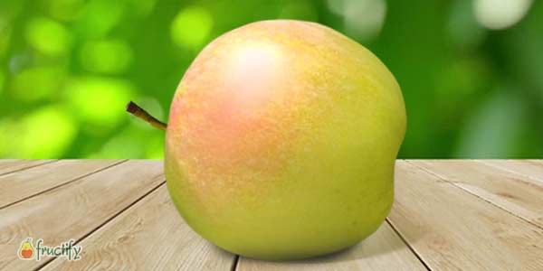 Кращі сорти яблунь: опис та фото літніх, осінніх, зимових сортів яблук