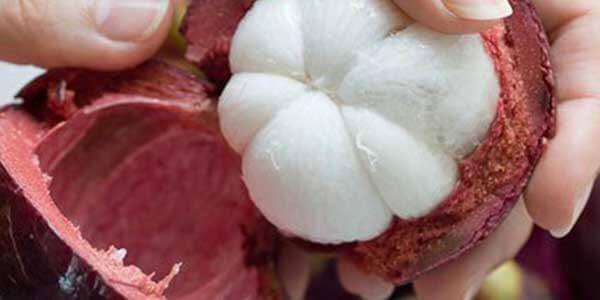 Мангостин (мангостану або мангостан) фрукт, корисні властивості, склад