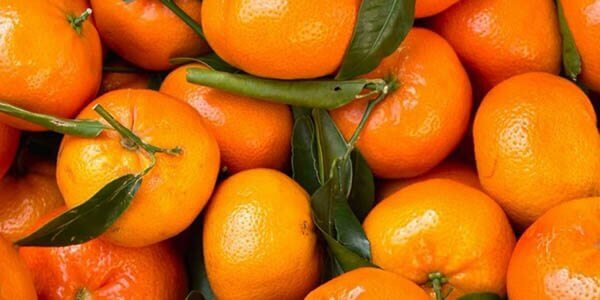 Відмінність фрукта клементина від мандаринів, корисні властивості і вітаміни
