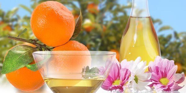 Відмінність фрукта клементина від мандаринів, корисні властивості і вітаміни