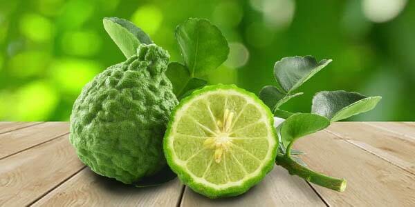 Різновиди цитрусових фруктів: список і опис