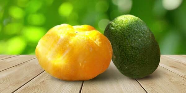 Різновиди цитрусових фруктів: список і опис