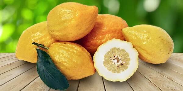 Різновиди цитрусових фруктів: список і опис