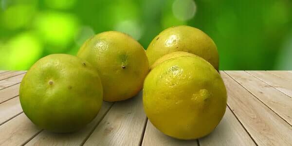 Різновиди цитрусових фруктів: список і опис