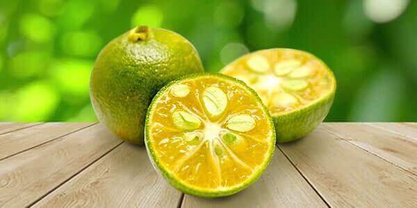 Різновиди цитрусових фруктів: список і опис