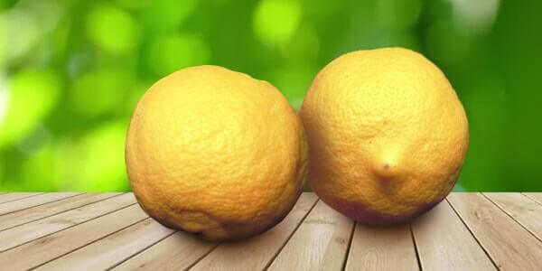 Різновиди цитрусових фруктів: список і опис