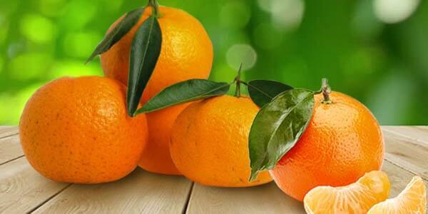Різновиди цитрусових фруктів: список і опис