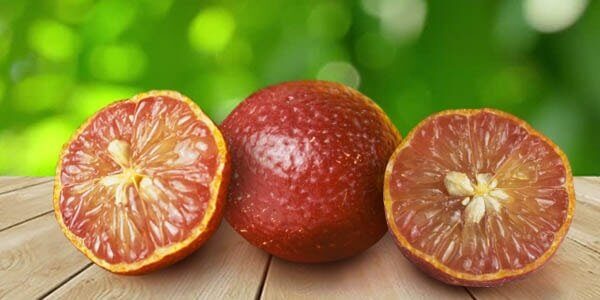 Різновиди цитрусових фруктів: список і опис