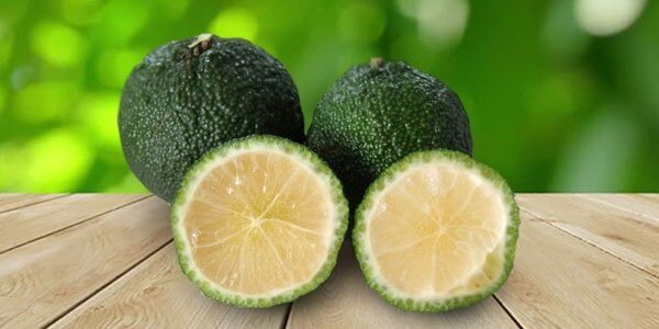 Різновиди цитрусових фруктів: список і опис