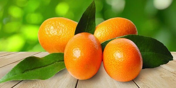 Різновиди цитрусових фруктів: список і опис