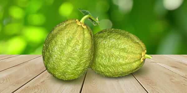 Різновиди цитрусових фруктів: список і опис