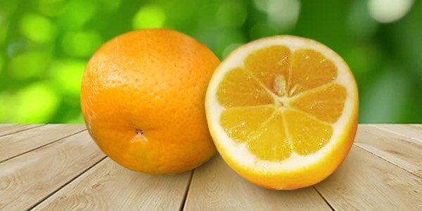Різновиди цитрусових фруктів: список і опис
