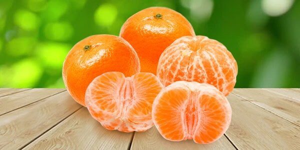 Різновиди цитрусових фруктів: список і опис