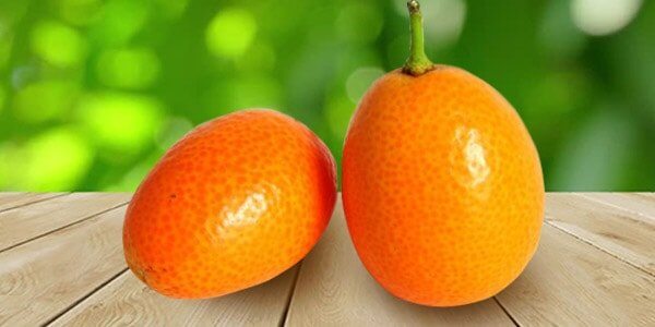 Різновиди цитрусових фруктів: список і опис