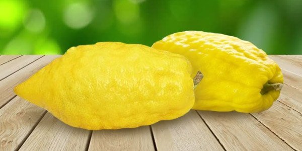 Різновиди цитрусових фруктів: список і опис