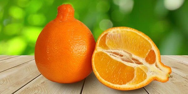 Різновиди цитрусових фруктів: список і опис