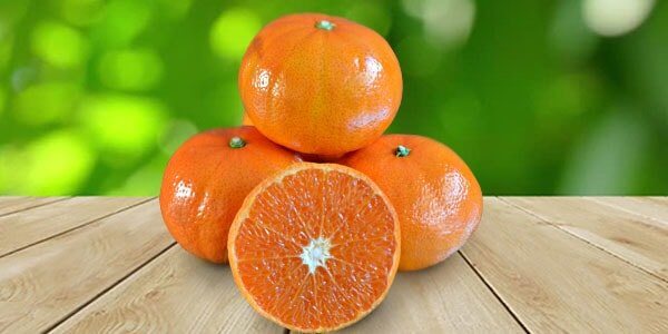 Різновиди цитрусових фруктів: список і опис