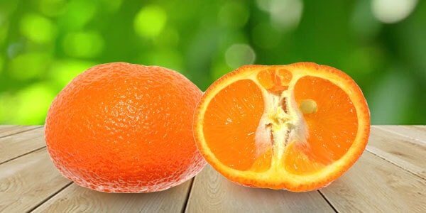 Різновиди цитрусових фруктів: список і опис