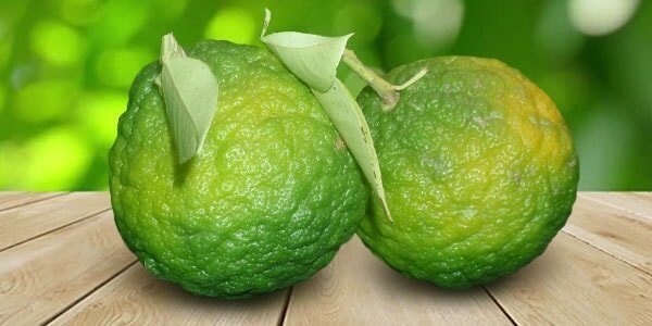 Різновиди цитрусових фруктів: список і опис