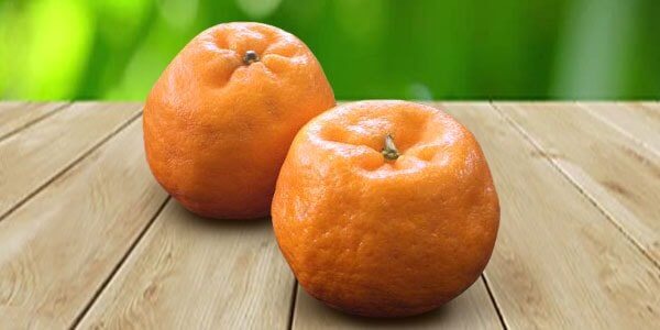 Різновиди цитрусових фруктів: список і опис