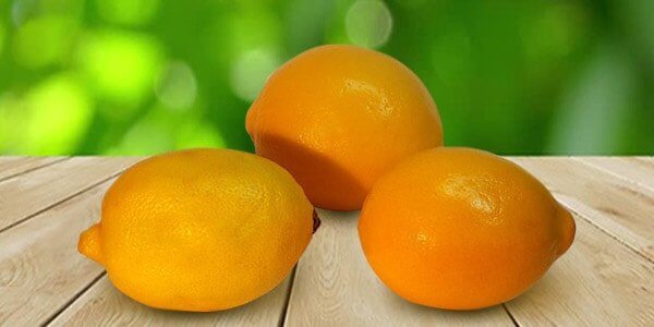 Різновиди цитрусових фруктів: список і опис