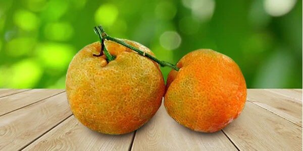 Різновиди цитрусових фруктів: список і опис