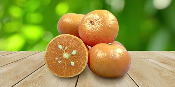 Різновиди цитрусових фруктів: список і опис
