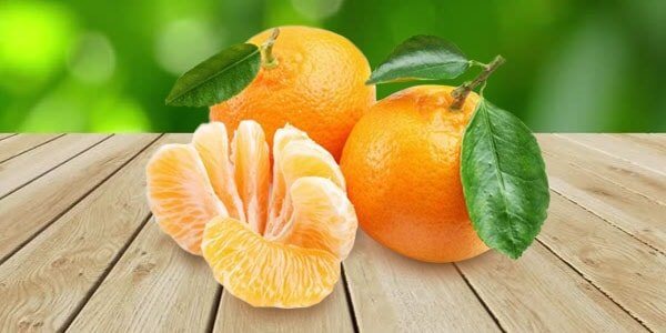 Різновиди цитрусових фруктів: список і опис