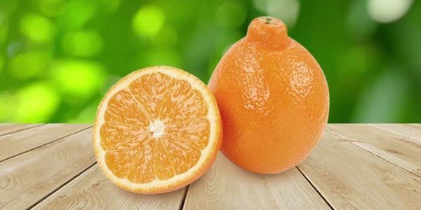 Різновиди цитрусових фруктів: список і опис