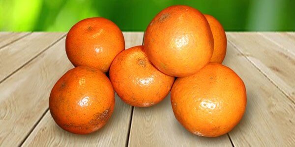 Різновиди цитрусових фруктів: список і опис