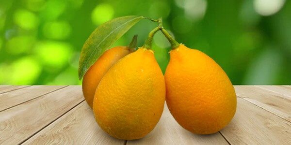 Різновиди цитрусових фруктів: список і опис